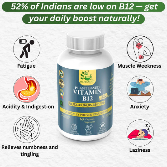 Plant-Based Vitamin B12 Supplement – Complete B-Complex (60 Vegetarian Capsules)