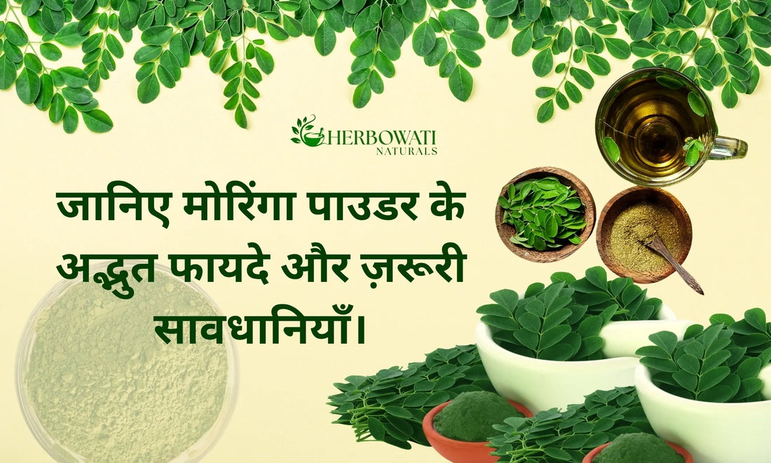 🌿 मोरिंगा पाउडर (सहजन पाउडर) के फायदे, नुकसान और पूरी जानकारी