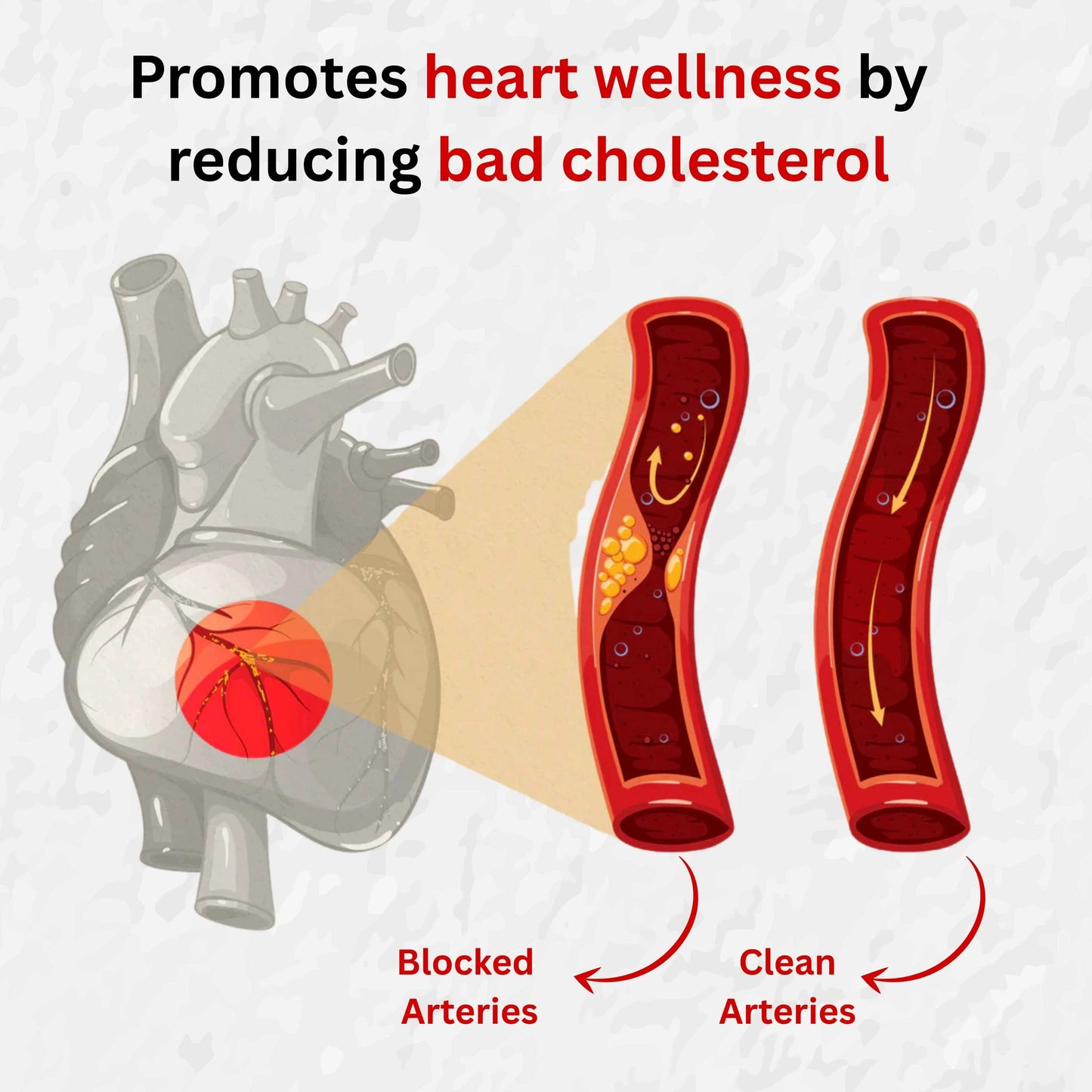 Cardio amrit capsules (60 Caps)