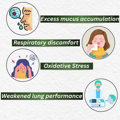 Lung Detox capsules (60 Caps)