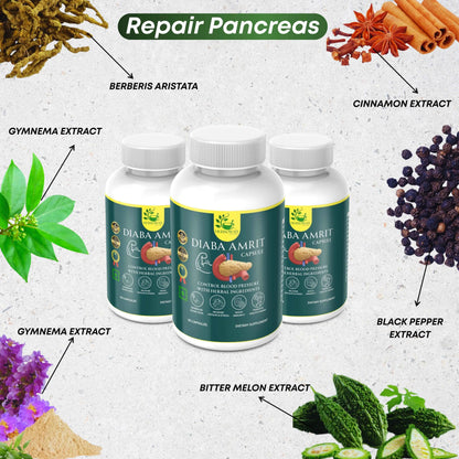 Diaba Amrit Capsules (60 Caps)