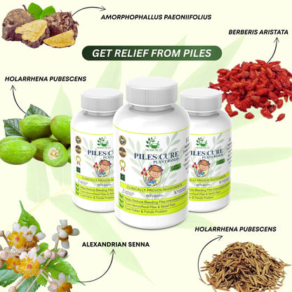 Piles Cure Capsules (60 Caps)