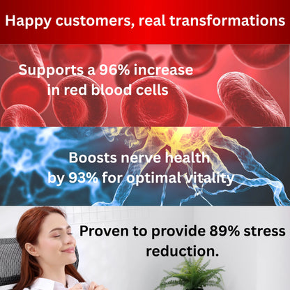 Plant-Based Vitamin B12 Supplement – Complete B-Complex (60 Vegetarian Capsules)